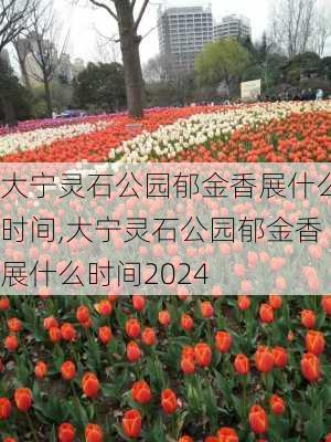 大宁灵石公园郁金香展什么时间,大宁灵石公园郁金香展什么时间2024