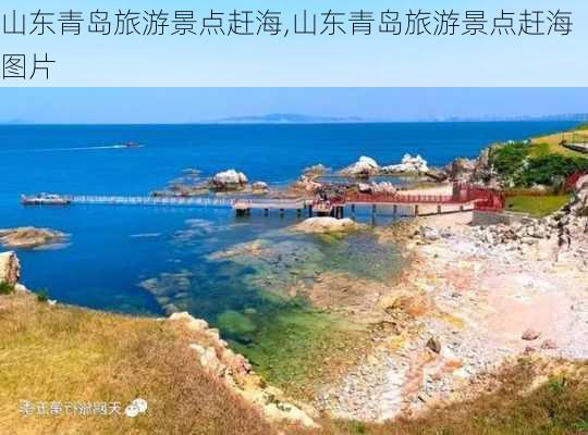 山东青岛旅游景点赶海,山东青岛旅游景点赶海图片