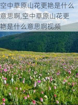 空中草原山花更艳是什么意思啊,空中草原山花更艳是什么意思啊视频