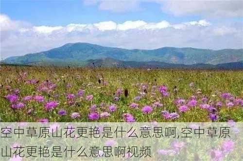 空中草原山花更艳是什么意思啊,空中草原山花更艳是什么意思啊视频