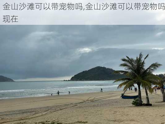 金山沙滩可以带宠物吗,金山沙滩可以带宠物吗现在