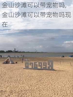 金山沙滩可以带宠物吗,金山沙滩可以带宠物吗现在