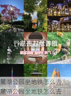 麓湖公园坐地铁怎么去,麓湖公园坐地铁怎么去