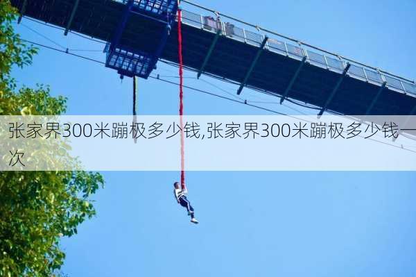 张家界300米蹦极多少钱,张家界300米蹦极多少钱一次