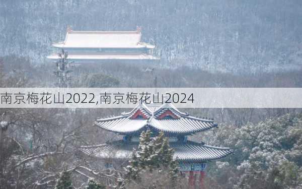 南京梅花山2022,南京梅花山2024