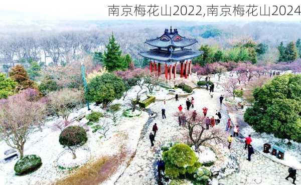 南京梅花山2022,南京梅花山2024