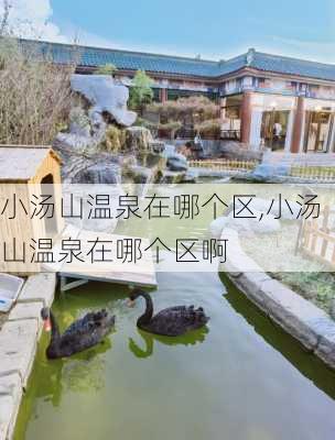 小汤山温泉在哪个区,小汤山温泉在哪个区啊