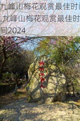 九峰山梅花观赏最佳时间,九峰山梅花观赏最佳时间2024