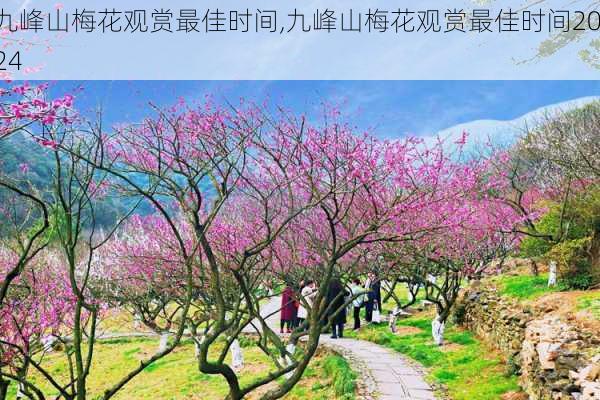 九峰山梅花观赏最佳时间,九峰山梅花观赏最佳时间2024