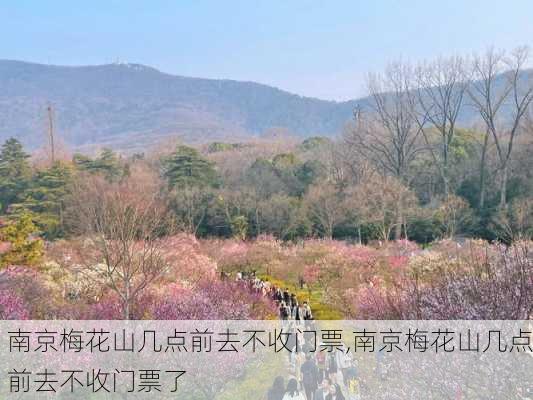 南京梅花山几点前去不收门票,南京梅花山几点前去不收门票了