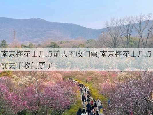 南京梅花山几点前去不收门票,南京梅花山几点前去不收门票了