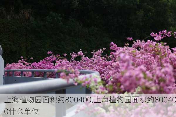 上海植物园面积约800400,上海植物园面积约800400什么单位