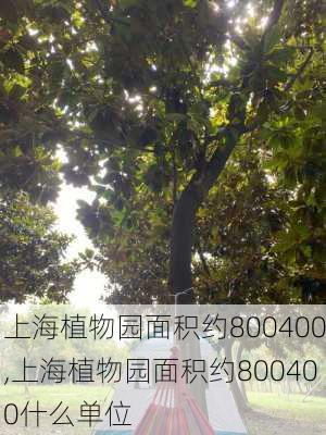 上海植物园面积约800400,上海植物园面积约800400什么单位