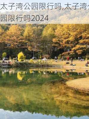 太子湾公园限行吗,太子湾公园限行吗2024