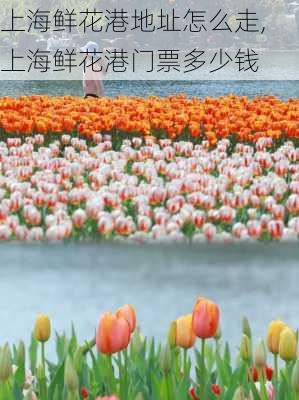 上海鲜花港地址怎么走,上海鲜花港门票多少钱