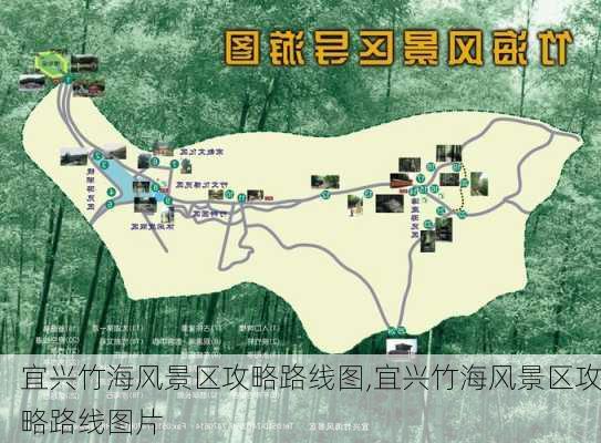 宜兴竹海风景区攻略路线图,宜兴竹海风景区攻略路线图片