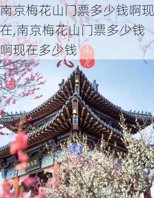 南京梅花山门票多少钱啊现在,南京梅花山门票多少钱啊现在多少钱