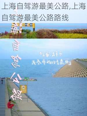 上海自驾游最美公路,上海自驾游最美公路路线