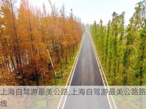 上海自驾游最美公路,上海自驾游最美公路路线