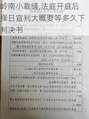 岭南小裁缝,法庭开庭后择日宣判大概要等多久下判决书