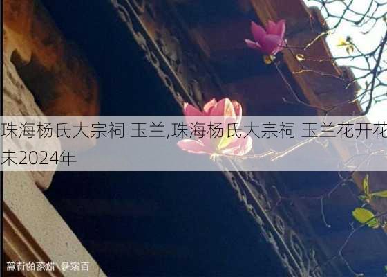 珠海杨氏大宗祠 玉兰,珠海杨氏大宗祠 玉兰花开花未2024年