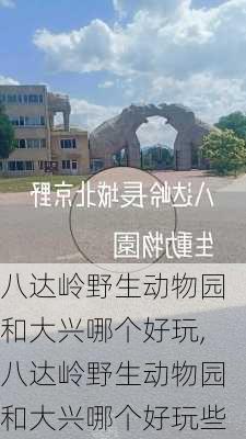 八达岭野生动物园和大兴哪个好玩,八达岭野生动物园和大兴哪个好玩些