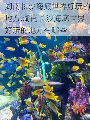 湖南长沙海底世界好玩的地方,湖南长沙海底世界好玩的地方有哪些