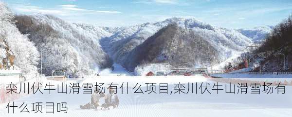 栾川伏牛山滑雪场有什么项目,栾川伏牛山滑雪场有什么项目吗