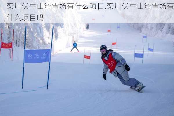 栾川伏牛山滑雪场有什么项目,栾川伏牛山滑雪场有什么项目吗