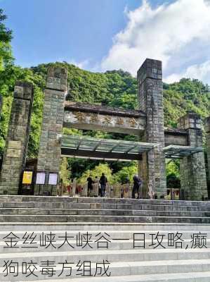 金丝峡大峡谷一日攻略,癫狗咬毒方组成