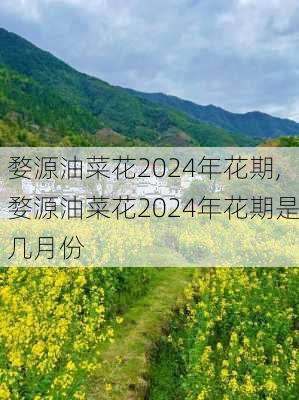 婺源油菜花2024年花期,婺源油菜花2024年花期是几月份