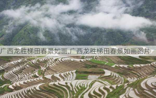 广西龙胜梯田春景如画,广西龙胜梯田春景如画图片