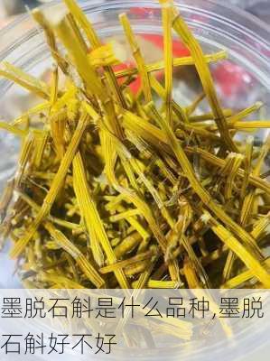 墨脱石斛是什么品种,墨脱石斛好不好