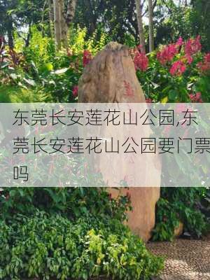 东莞长安莲花山公园,东莞长安莲花山公园要门票吗