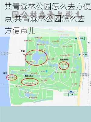 共青森林公园怎么去方便点,共青森林公园怎么去方便点儿