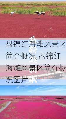 盘锦红海滩风景区简介概况,盘锦红海滩风景区简介概况图片