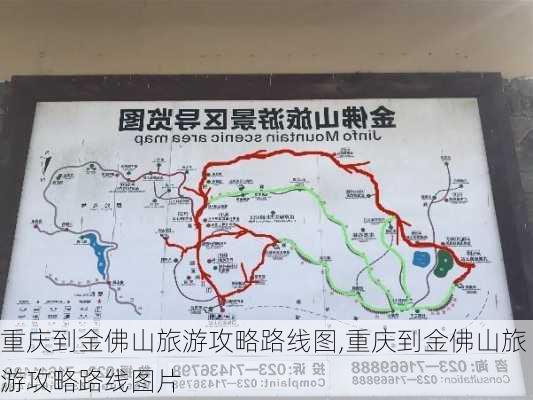 重庆到金佛山旅游攻略路线图,重庆到金佛山旅游攻略路线图片