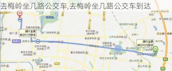 去梅岭坐几路公交车,去梅岭坐几路公交车到达