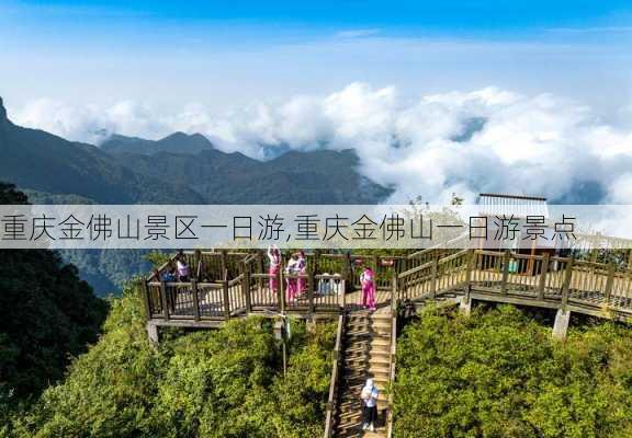 重庆金佛山景区一日游,重庆金佛山一日游景点