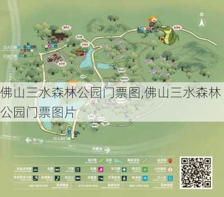 佛山三水森林公园门票图,佛山三水森林公园门票图片