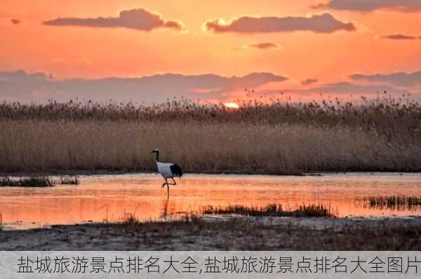 盐城旅游景点排名大全,盐城旅游景点排名大全图片