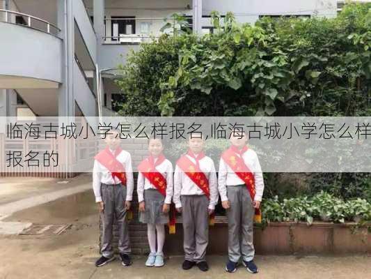 临海古城小学怎么样报名,临海古城小学怎么样报名的