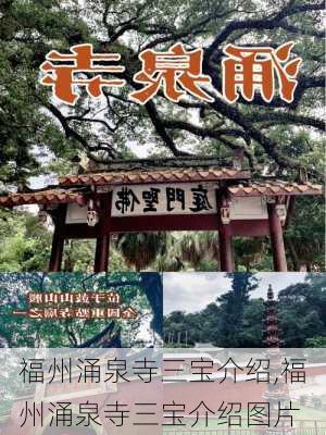 福州涌泉寺三宝介绍,福州涌泉寺三宝介绍图片