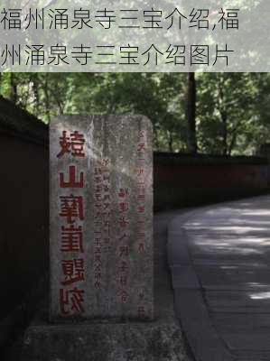 福州涌泉寺三宝介绍,福州涌泉寺三宝介绍图片