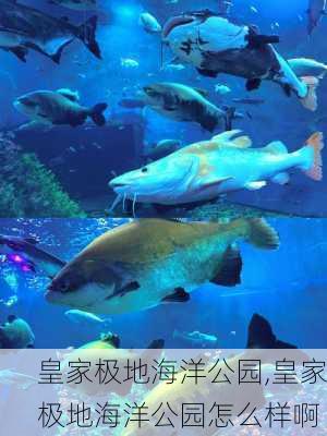 皇家极地海洋公园,皇家极地海洋公园怎么样啊