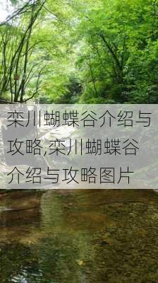 栾川蝴蝶谷介绍与攻略,栾川蝴蝶谷介绍与攻略图片