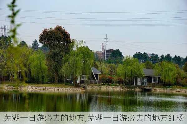 芜湖一日游必去的地方,芜湖一日游必去的地方红杨