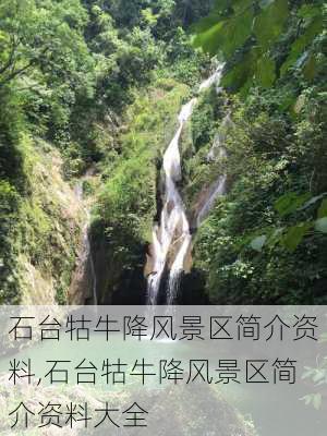 石台牯牛降风景区简介资料,石台牯牛降风景区简介资料大全