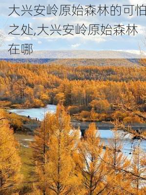 大兴安岭原始森林的可怕之处,大兴安岭原始森林在哪