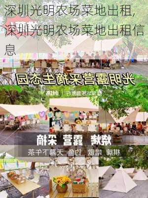 深圳光明农场菜地出租,深圳光明农场菜地出租信息